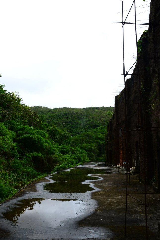 DSC_0657 (FILEminimizer)