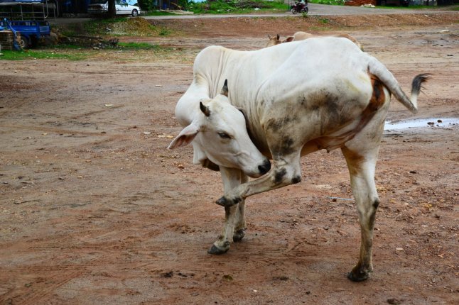 DSC_0679 (FILEminimizer)