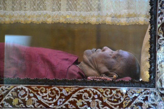 DSC_0684 (FILEminimizer)