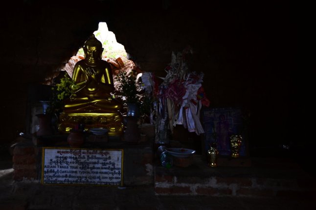 DSC_0727 (FILEminimizer)