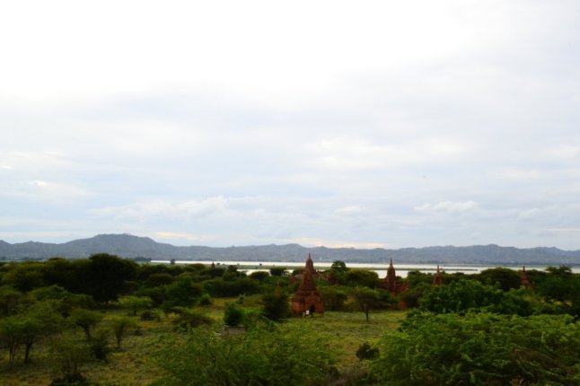 DSC_0738 (FILEminimizer)