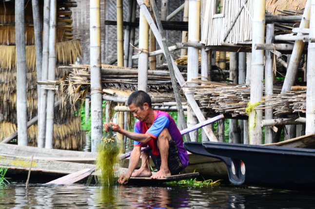 DSC_0797 (FILEminimizer)