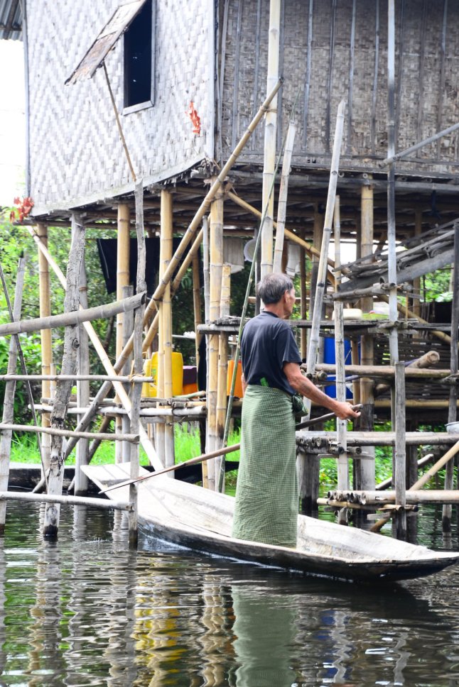 DSC_0799 (FILEminimizer)