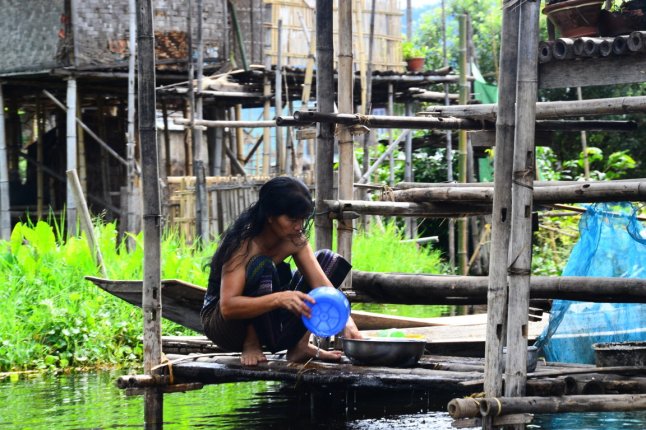 DSC_0803 (FILEminimizer)