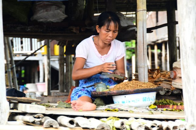 DSC_0818 (FILEminimizer)