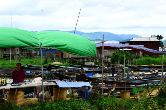 DSC_0876 (FILEminimizer)