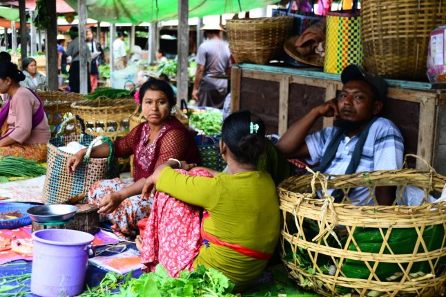 DSC_0903 (FILEminimizer)