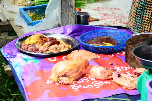 DSC_0904 (FILEminimizer)