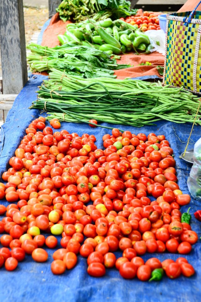 DSC_0908 (FILEminimizer)