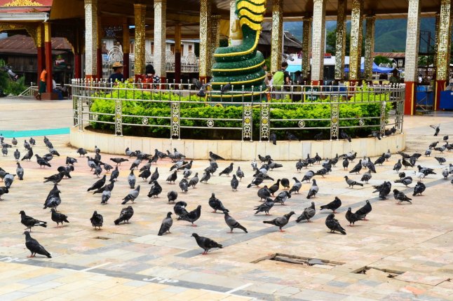 DSC_0964 (FILEminimizer)