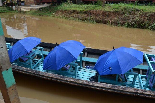 DSC_0981 (FILEminimizer)