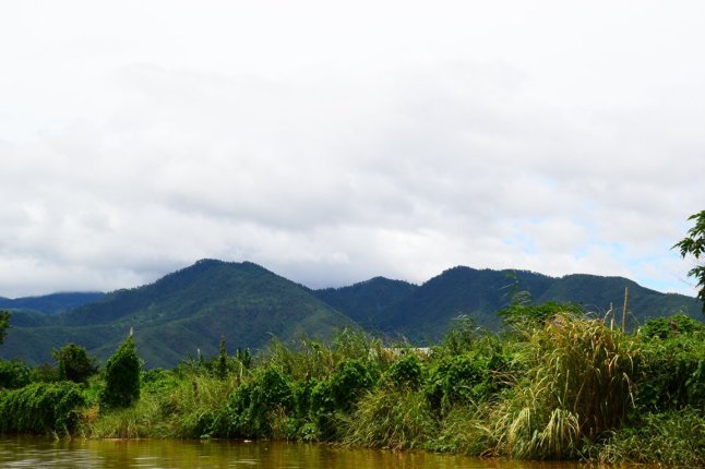 DSC_0987 (FILEminimizer)