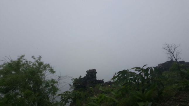 IMG_1269 (FILEminimizer)