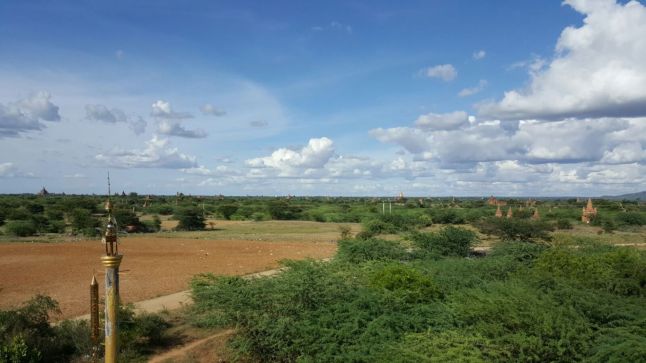 IMG_1378 (FILEminimizer)