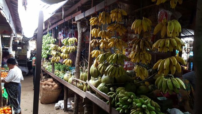 IMG_1756 (FILEminimizer)