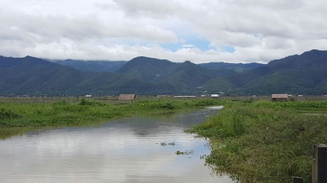 IMG_1778 (FILEminimizer)