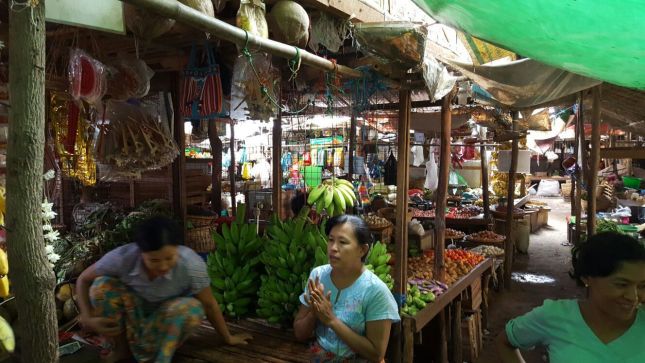 IMG_1807 (FILEminimizer)