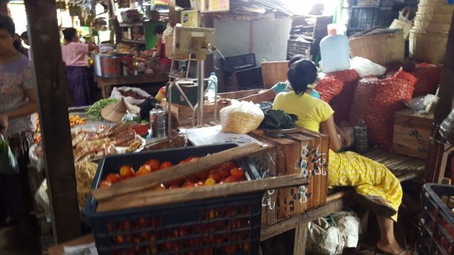 IMG_1811 (FILEminimizer)