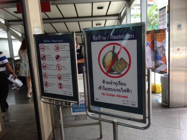 IMG_1969 (FILEminimizer)