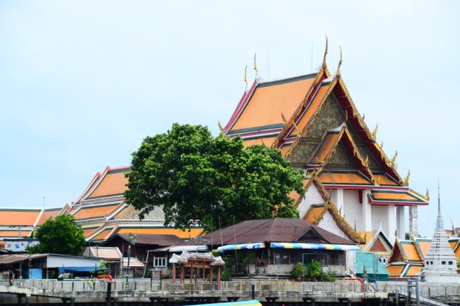 DSC_0068 (FILEminimizer)